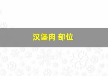 汉堡肉 部位